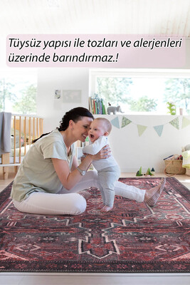 Outlet 300x400 Folk Etnik Desenli Dokuma Taban Dekoratif Bordo Halı BA-25 - 2
