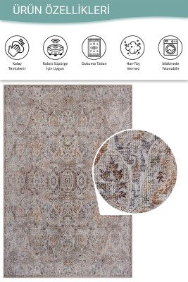 Folk Krem Vizon Vintage Klasik Desenli Dokuma Tabanlı Şönil Halı AL 609 - 5