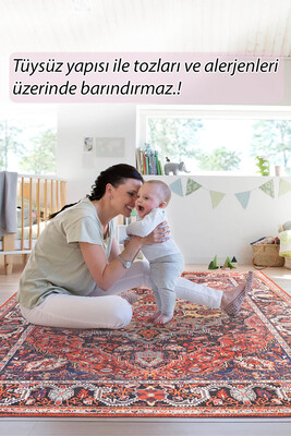 Folk Vintage Desenli Dokuma Taban Dekoratif Renkli Halı BA 07 - 8
