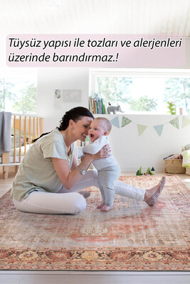 Outlet 210x310 Folk Vintage Desenli Dokuma Taban Dekoratif Renkli Halı BA-35 - 8