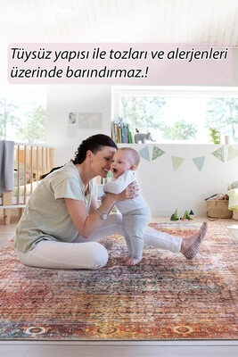 Outlet 300X400 Folk Vintage Desenli Dokuma Taban Dekoratif Renkli Halı BA-41 - 8