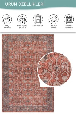 Relic Kiremit Vintage Etnik Desenli Dokuma Tabanlı Şönil Halı AL 564 - 6