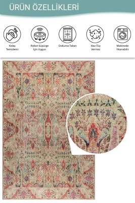 Soul Renkli Vintage Klasik Desenli Dokuma Tabanlı Şönil Halı AL 559 - 5