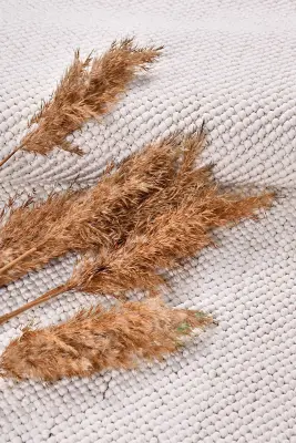 Zenit Beyaz Robot Süpürgeye Uyumlu Kolay Temizlenebilir Halı Salon, Oturma Odası ve Koridor Halısı RP 31 - 4